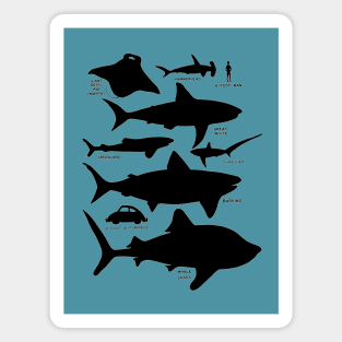 Sea Shadows - Shark Silhouettes Magnet